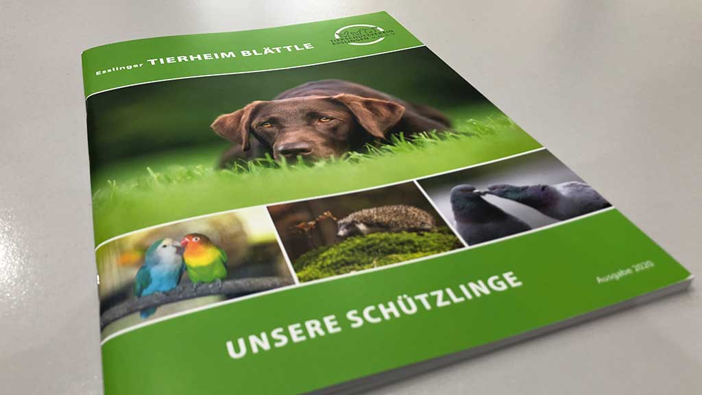 Glücksbringer: Drittes Tierheim Blättle für das Tierheim Esslingen
