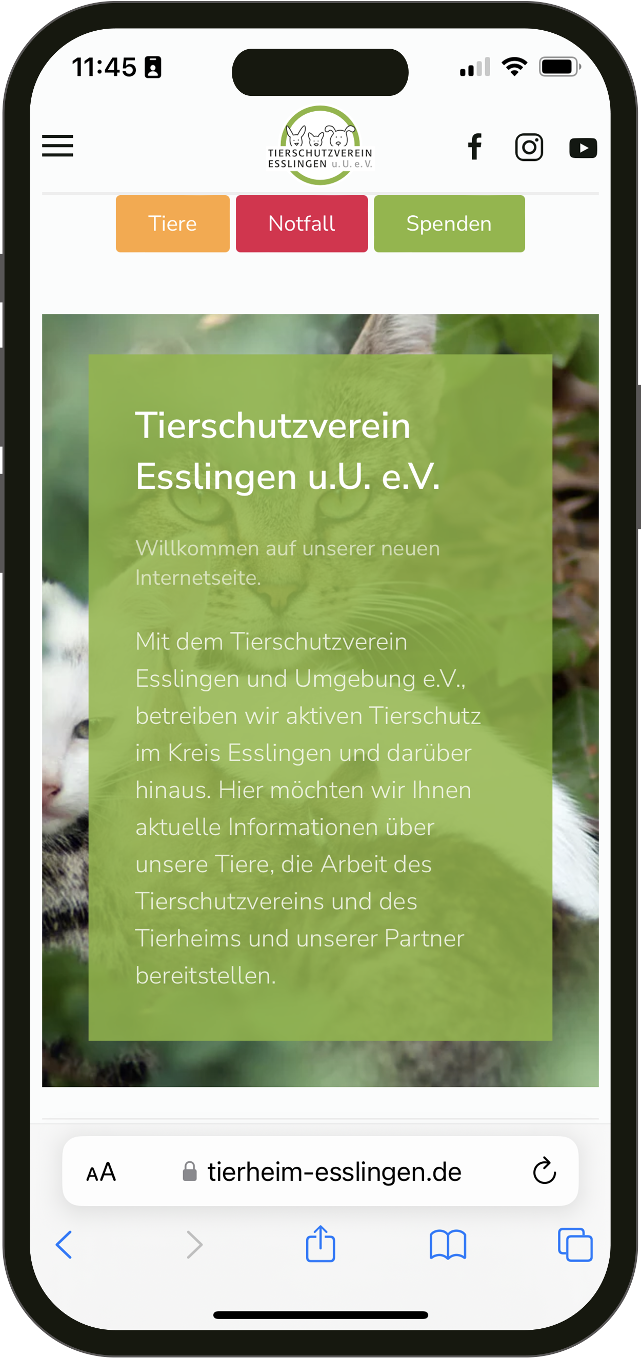 Tierheim Esslingen